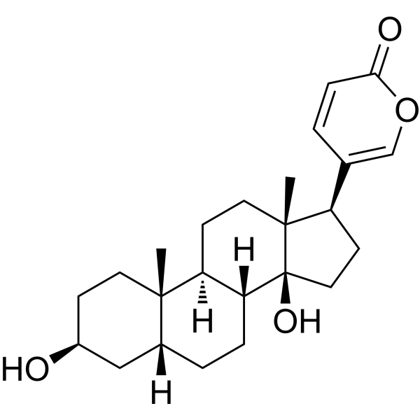 Bufalin (Standard)