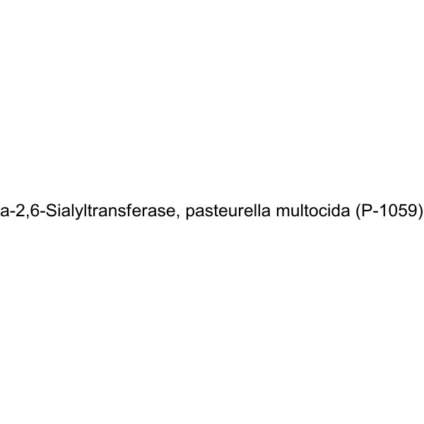 α-2,6-Sialyltransferase, pasteurella multocida (P-1059)