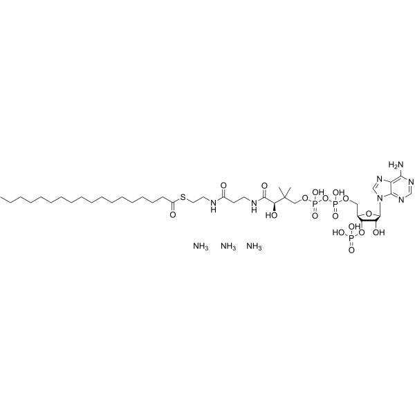 18:0 Coenzyme A triammonium