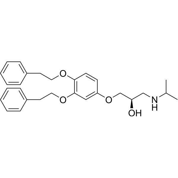 YOK-2204