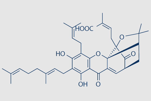 Gambogenic acid