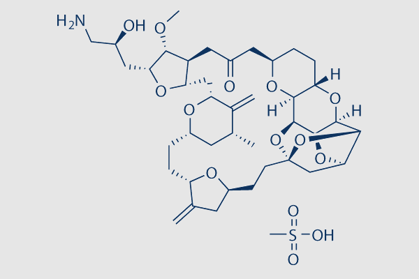 Eribulin Mesylate (E7389)