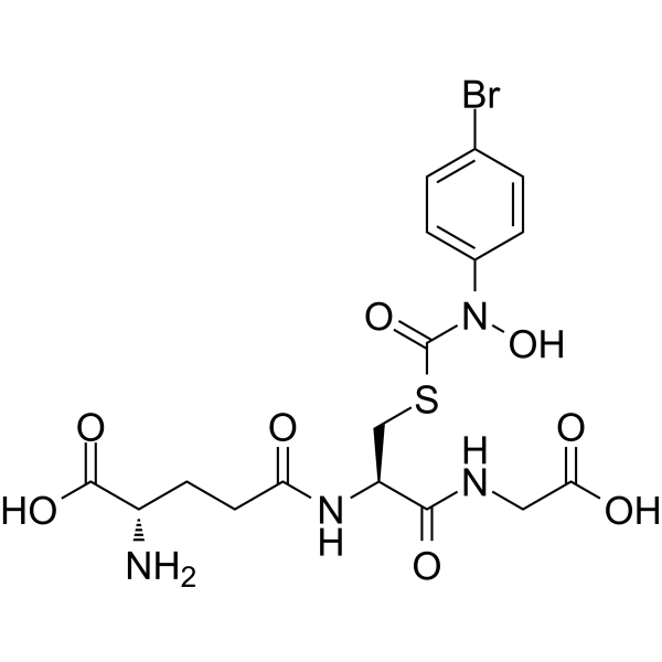 HBPC–GSH
