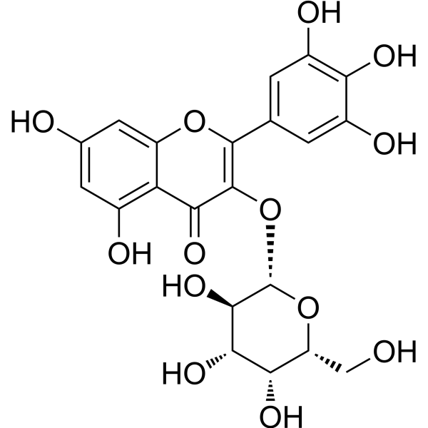 Myricetin 3-O-galactoside