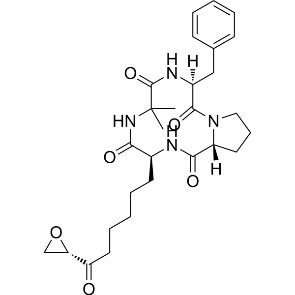 Chlamydocin