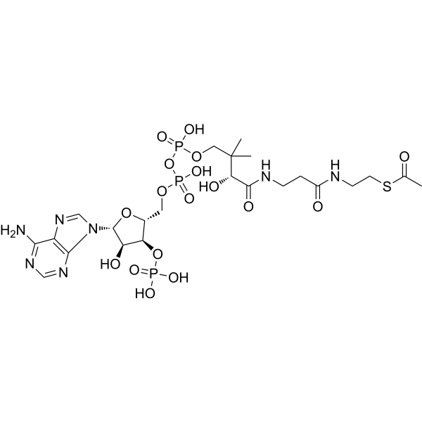 AcetylcoenzymeA