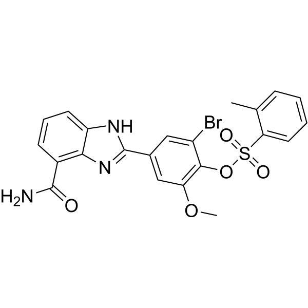 PARP-1-IN-23