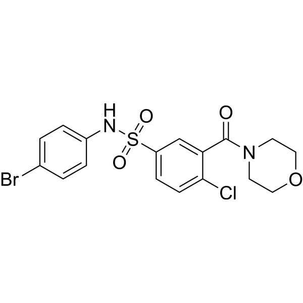 h-NTPDase-IN-1