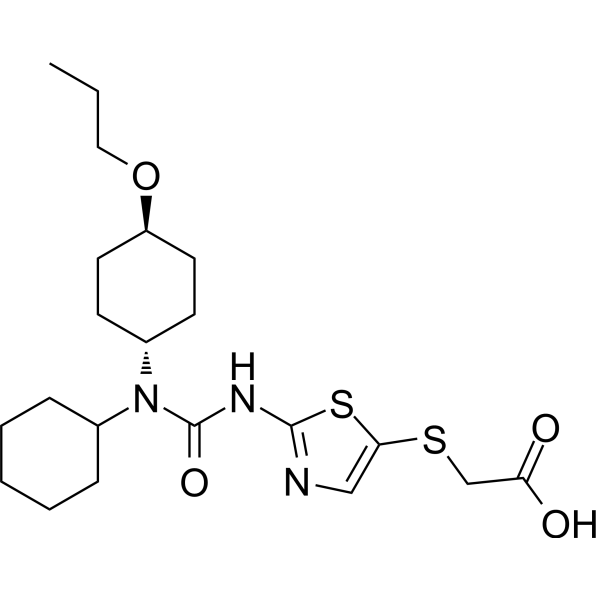 Cadisegliatin