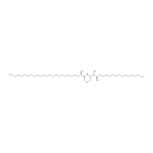 Elasticamide