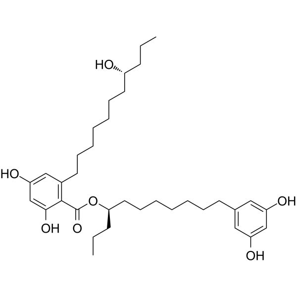 Integracin B