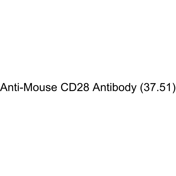 Anti-Mouse CD28 Antibody (37.51)