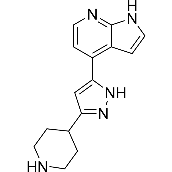 MNK-IN-4