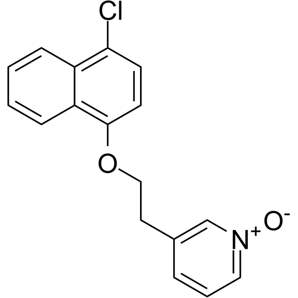 DL-175