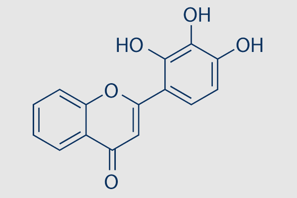 2-D08