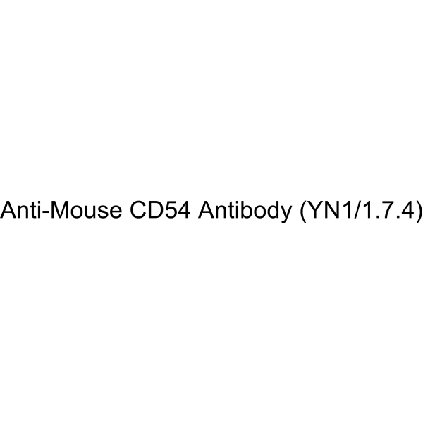 Anti-Mouse CD54 Antibody (YN1/1.7.4)
