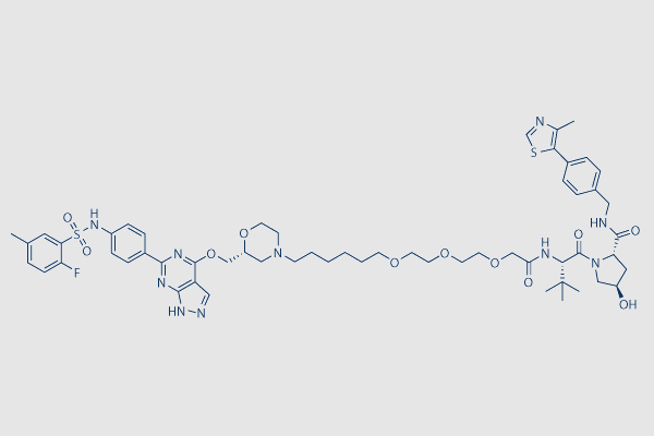 PROTAC SGK3 degrader-1