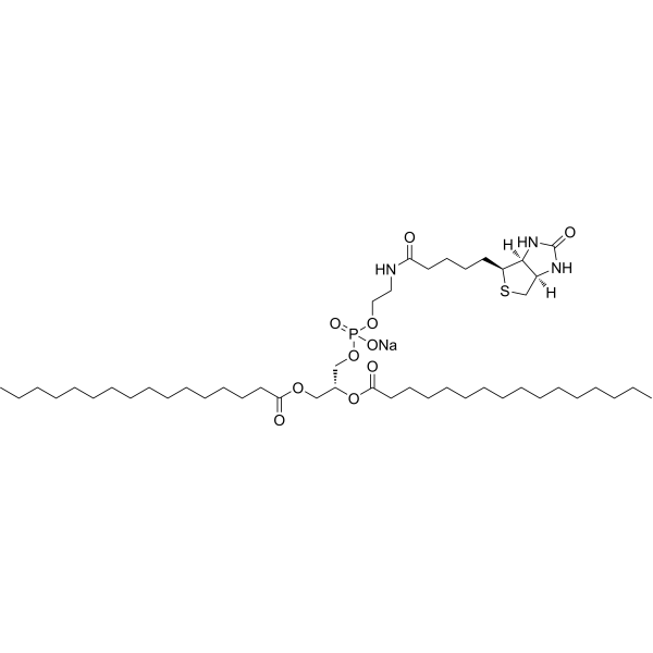 16:0 Biotinyl PE