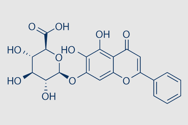 Baicalin (NSC-661431)