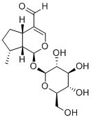 Boschnaloside