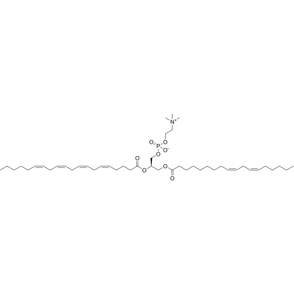 Phosphatidylcholine (C18:2,C20:4)