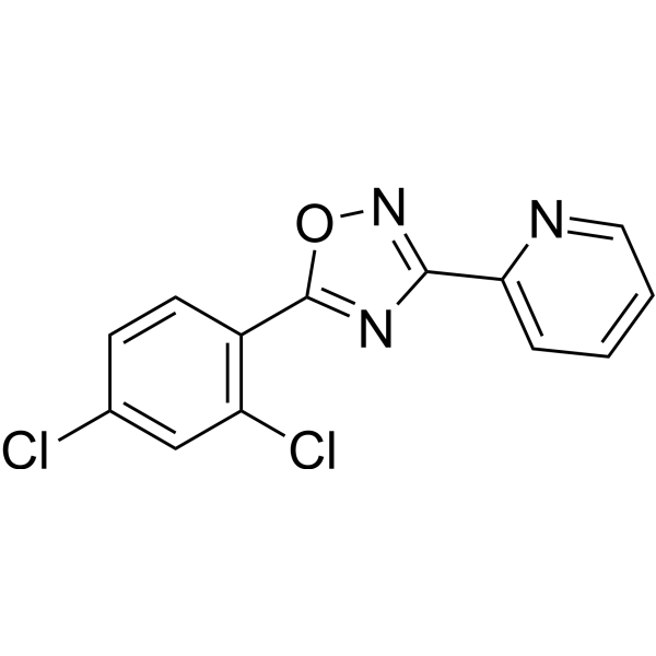 JY-2