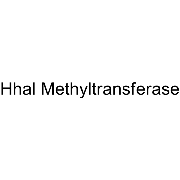Hhal Methyltransferase