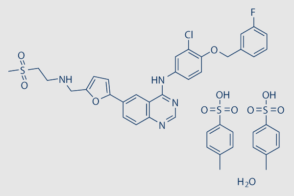 Lapatinib ditosylate monohydrate