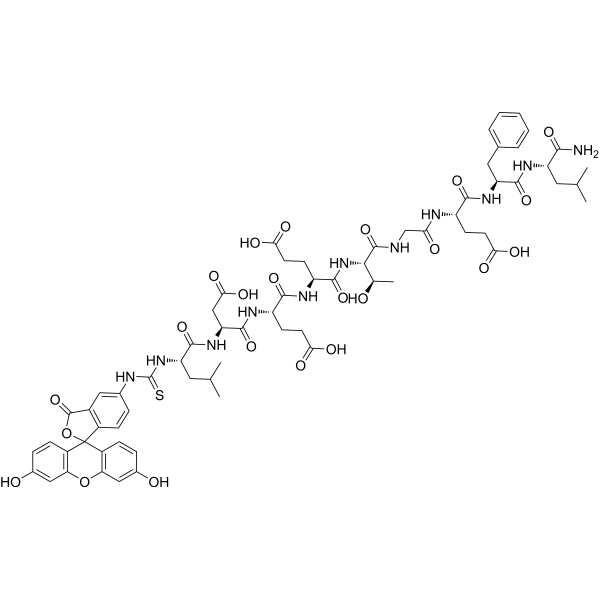 FITC-labelled Keap1-Nrf2 probe