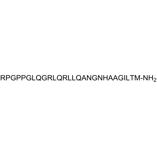 Orexin B, rat, mouse