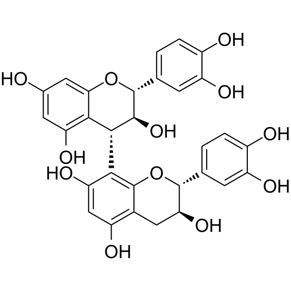 Procyanidin B3