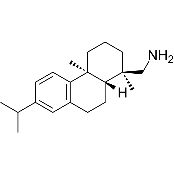 Leelamine