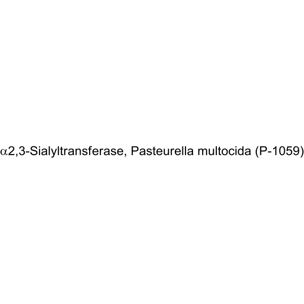 α2,3-Sialyltransferase, Pasteurella multocida (P-1059)