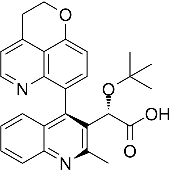 BI224436