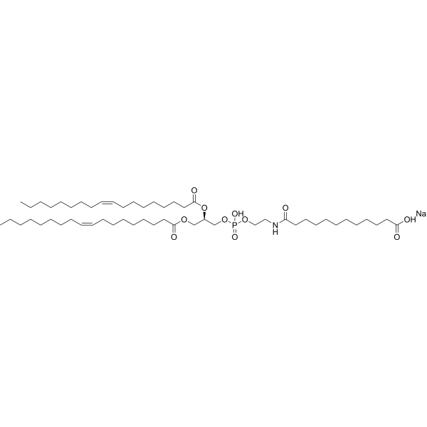 18:1 Dodecanyl PE