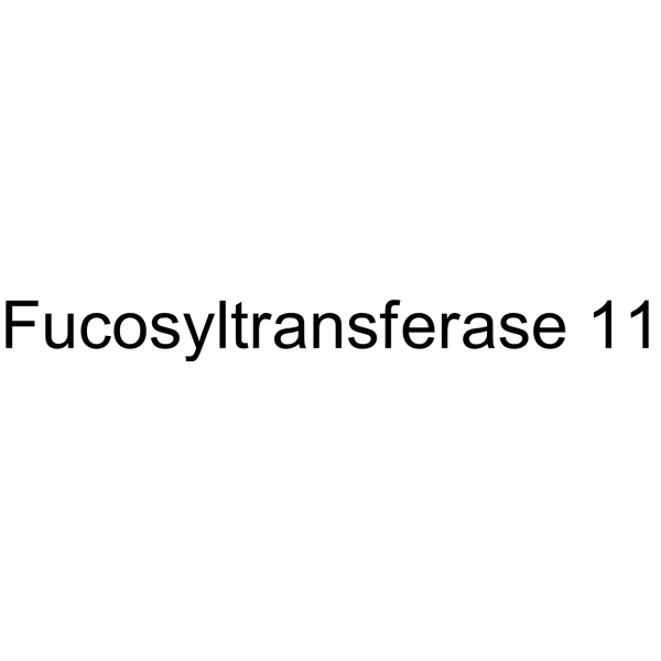 Fucosyltransferase 11