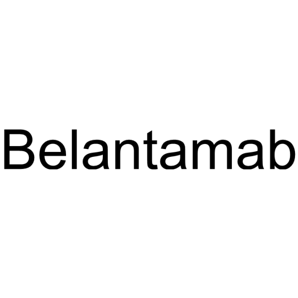 Belantamab