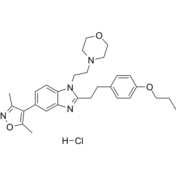 PF-CBP1hydrochloride
