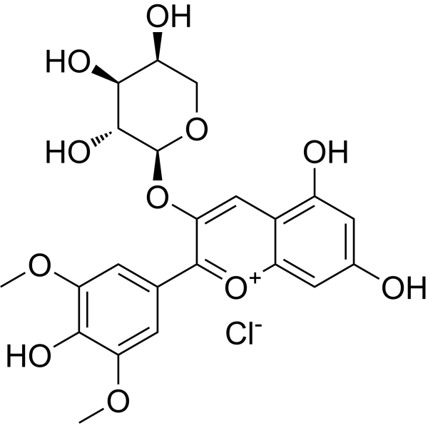 Malvidin-3-O-arabinoside chloride