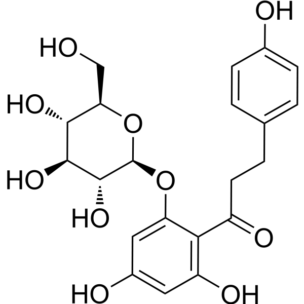 Phlorizin (Standard)