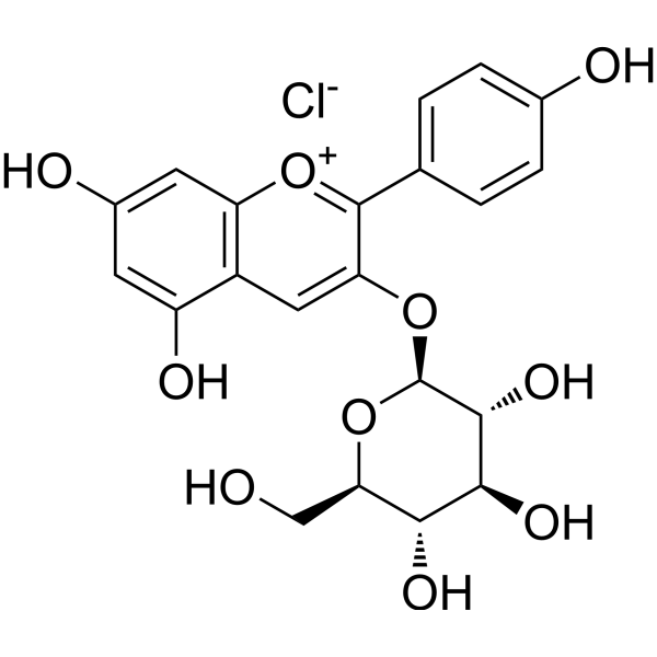 Callistephin chloride