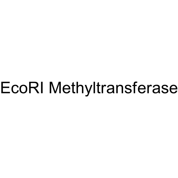 EcoRI Methyltransferase