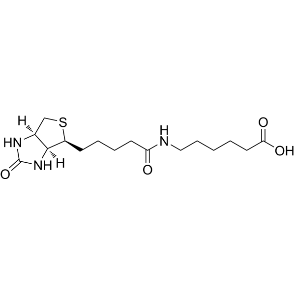 N-Biotinyl-6-aminohexanoic acid