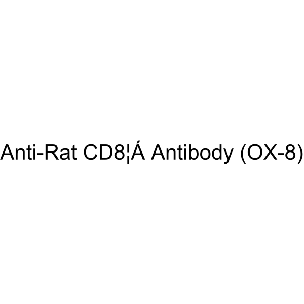 Anti-Rat CD8α Antibody (OX-8)