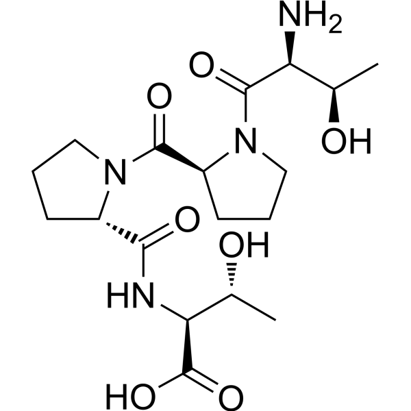 NT 13