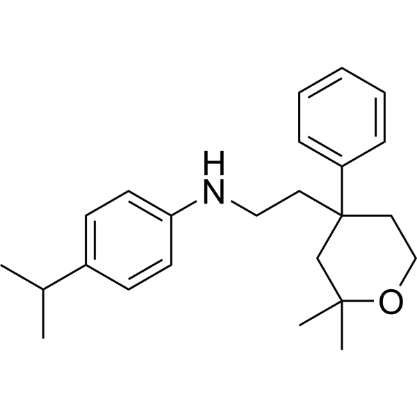 ICMT-IN-45