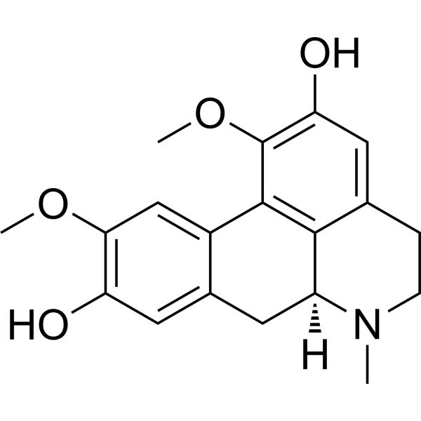 Boldine (Standard)