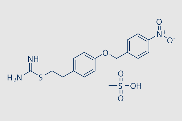 KB-R7943 mesylate