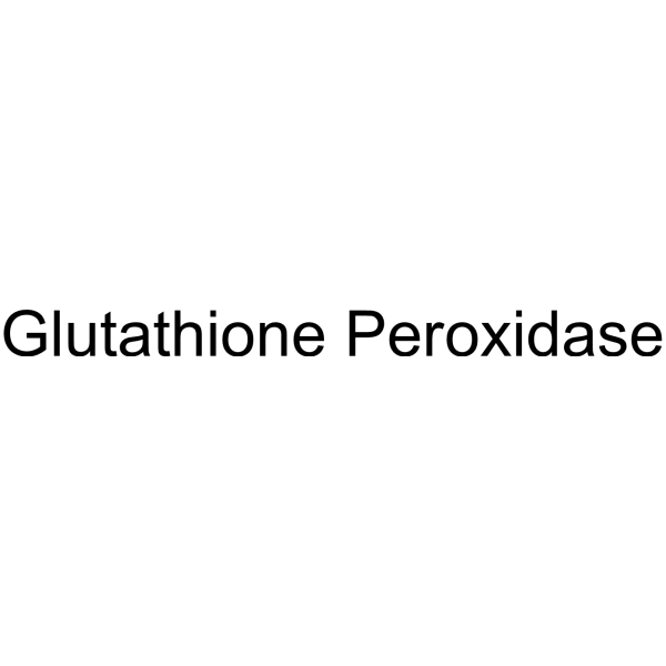 Glutathione Peroxidase