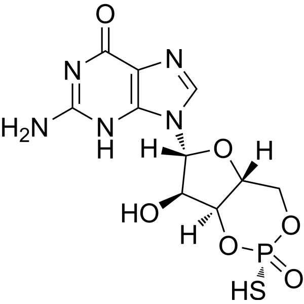 Sp-cGMPS